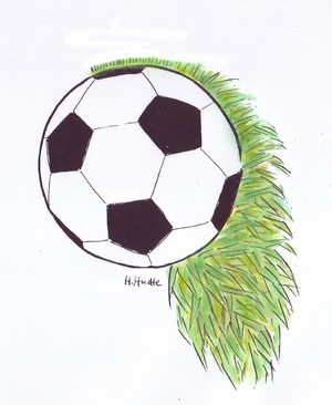 Calcio: capelli alla tedesca/ Henning Studte